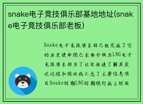 snake电子竞技俱乐部基地地址(snake电子竞技俱乐部老板)